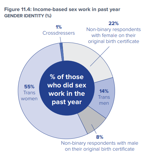 Camembert du pourcentage des personnes ayant pratiqué le travail du sexe dans les douze derniers mois